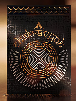 Chakravyuh (The Maze)