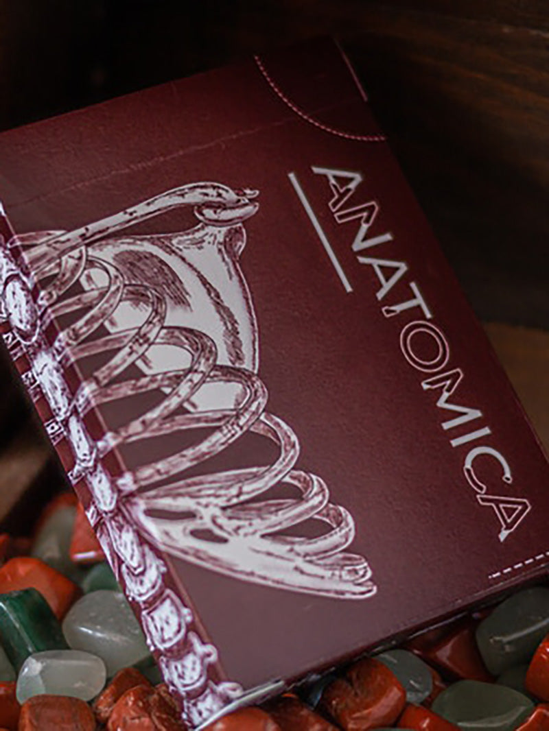 Anatomica