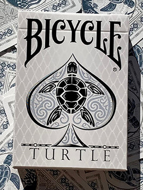 Bicycle Turtle Sea