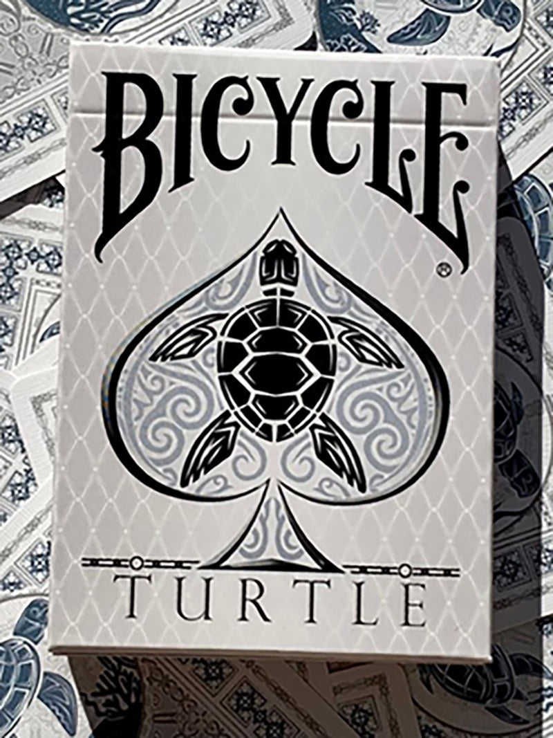 Bicycle Turtle Sea