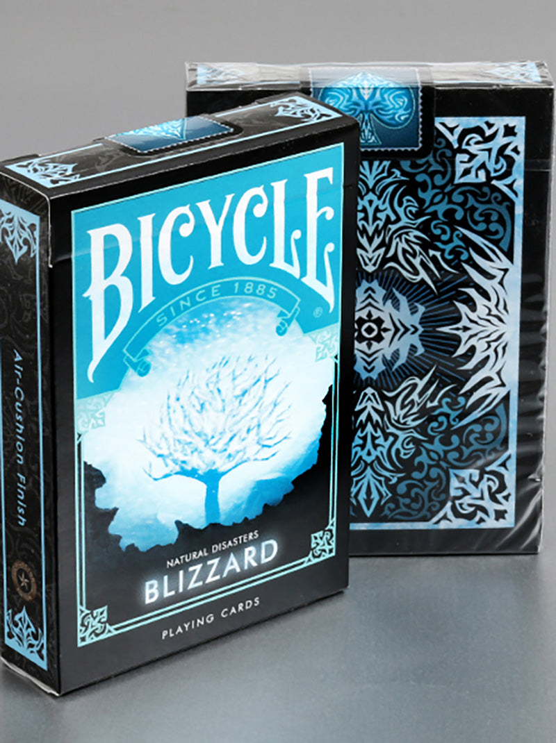 Bicycle Natural Disasters Blizzard