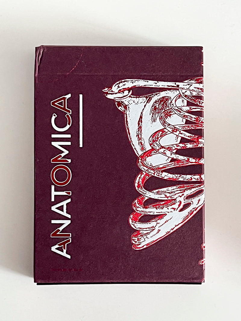 Anatomica (opened)