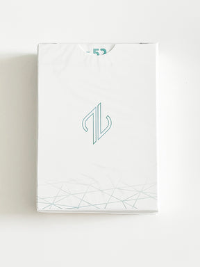 Mirz V1 (minor tuck damage)