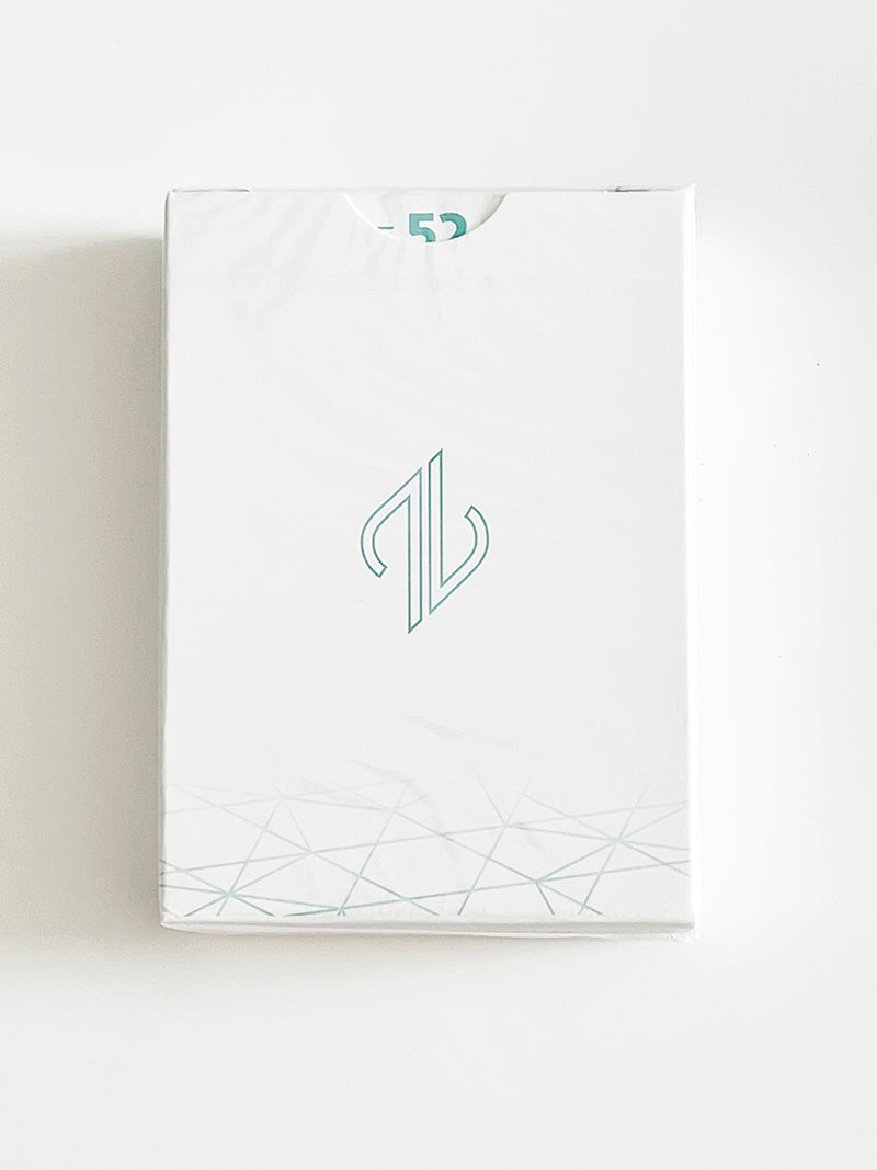 Mirz V1 (minor tuck damage)