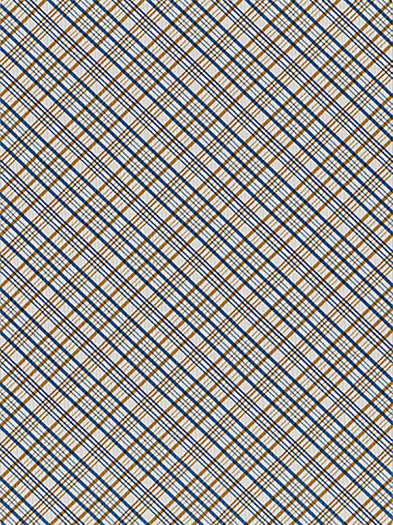 Vintage Plaid California Blue